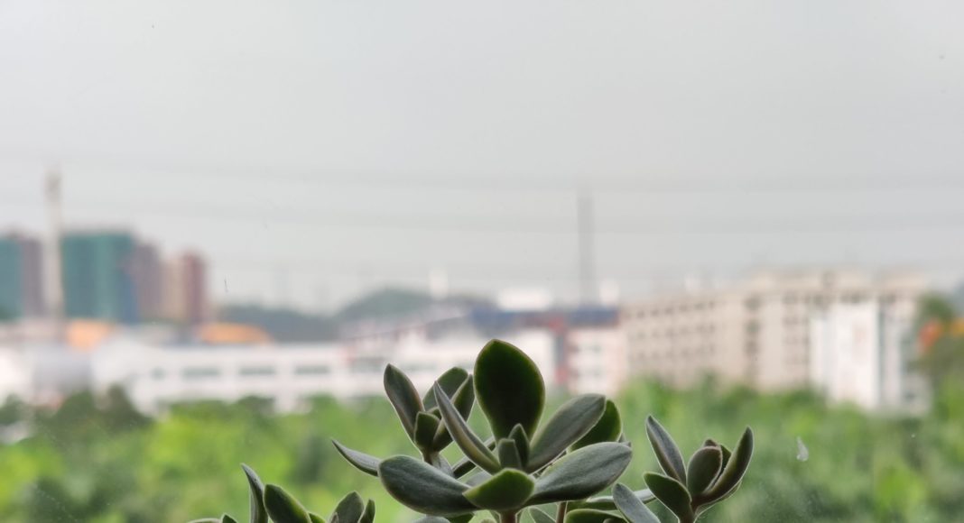 人像2 